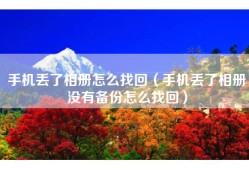 手机丢了相册怎么找回（手机丢了相册没有备份怎么找回）