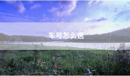 车号怎么选