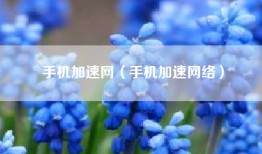 手机加速网（手机加速网络）