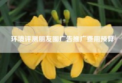 环境评测朋友圈广告推广费用预算