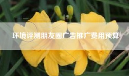 环境评测朋友圈广告推广费用预算