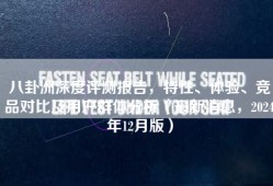 八卦洲深度评测报告，特性、体验、竞品对比及用户群体分析（最新消息，2024年12月版）
