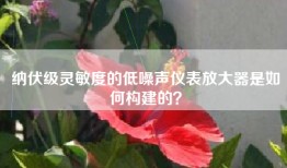 纳伏级灵敏度的低噪声仪表放大器是如何构建的？