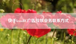 快手kwaiBC广告投放业务联系方式