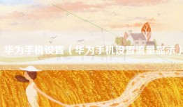 华为手机设置（华为手机设置流量显示）