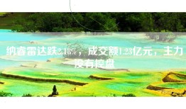 纳睿雷达跌2.18%，成交额1.23亿元，主力没有控盘