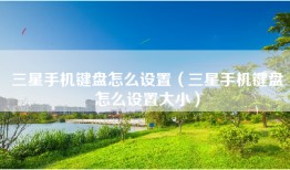 三星手机键盘怎么设置（三星手机键盘怎么设置大小）