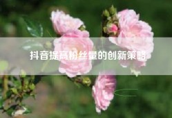 抖音提高粉丝量的创新策略