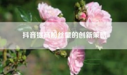 抖音提高粉丝量的创新策略