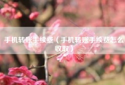手机转账手续费（手机转账手续费怎么收取）