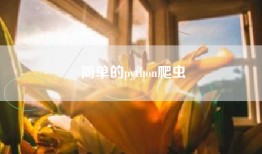 简单的python爬虫