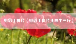 电影手机片（电影手机片头曲牛三斤）