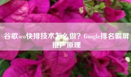 谷歌seo快排技术怎么做？Google排名霸屏推广原理
