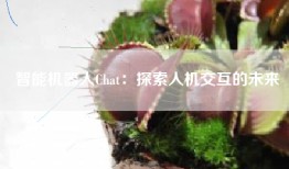 智能机器人Chat：探索人机交互的未来