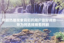 网剧热播现象背后的用户喜好调查——你为何选择观看网剧