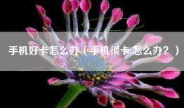 手机好卡怎么办（手机很卡,怎么办？）