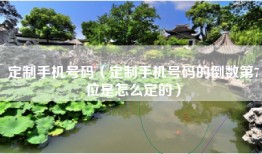 定制手机号码（定制手机号码的倒数第7位是怎么定的）
