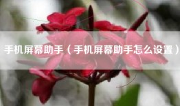 手机屏幕助手（手机屏幕助手怎么设置）