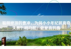 聪明绝顶的曹冲，为何小小年纪就离奇夭折？司马懿：他是真的蠢