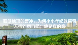 聪明绝顶的曹冲，为何小小年纪就离奇夭折？司马懿：他是真的蠢
