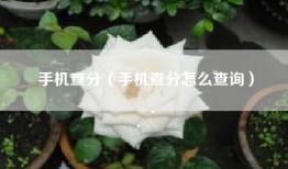 手机查分（手机查分怎么查询）