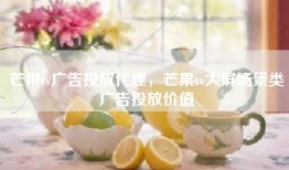 芒果tv广告投放代理，芒果tv大屏场景类广告投放价值