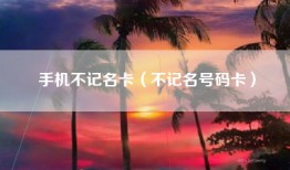 手机不记名卡（不记名号码卡）