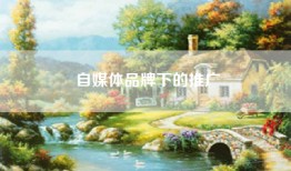 自媒体品牌下的推广