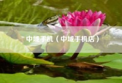 中域手机（中域手机店）