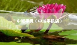 中域手机（中域手机店）