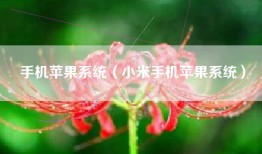 手机苹果系统（小米手机苹果系统）
