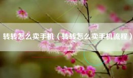 转转怎么卖手机（转转怎么卖手机流程）