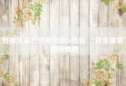 野猪泛滥已危害全国26省份 “赏金捕猎”国际难题
