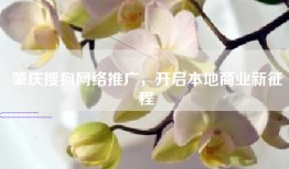 肇庆搜狗网络推广，开启本地商业新征程