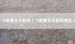 飞机要关手机吗（飞机要关手机吗现在）