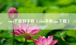 root下载到手机（root手机app下载）