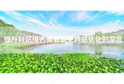 提升网站排名需要避免网站优化的禁区