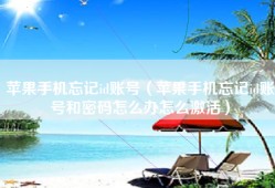 苹果手机忘记id账号（苹果手机忘记id账号和密码怎么办怎么激活）
