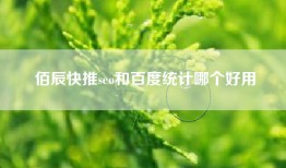 佰辰快推seo和百度统计哪个好用