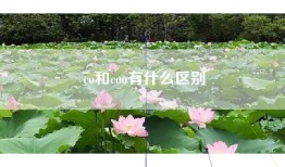 co和coo有什么区别