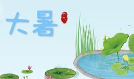 ! 今日大暑，聊聊高温天那些事儿……手机测温度计「! 今日大暑，聊聊高温天那些事儿……」