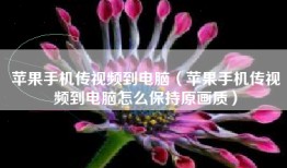 苹果手机传视频到电脑（苹果手机传视频到电脑怎么保持原画质）