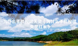 为什么手机按键失灵（为什么手机按键失灵红米）