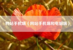 网站手机端（网站手机端和电脑端）