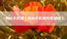 网站手机端（网站手机端和电脑端）