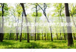 线上推广引流渠道包括哪些方面内容