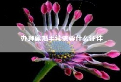 办理离婚手续需要什么证件