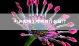办理离婚手续需要什么证件