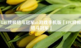 UFC终极格斗冠军ufc游戏手机版「UFC终极格斗冠军」