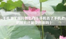 手机丢了照片怎么办（手机丢了手机上的照片还能找回来吗）